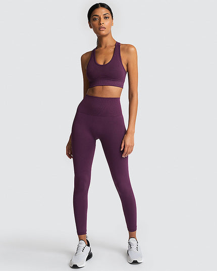 Seamless Gym Set Nylon Woman Sportswear