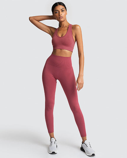 Seamless Gym Set Nylon Woman Sportswear