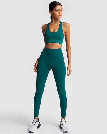 Seamless Gym Set Nylon Woman Sportswear